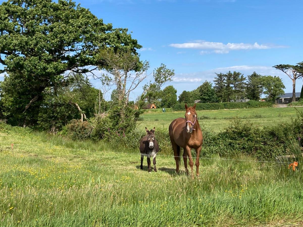 Hotel Farmyard Lane Glamping Killarney Exterior foto